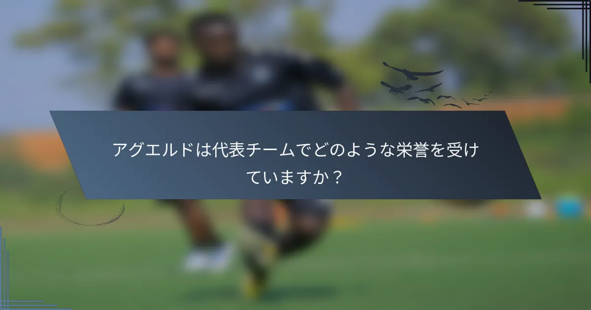 アグエルドは代表チームでどのような栄誉を受けていますか？