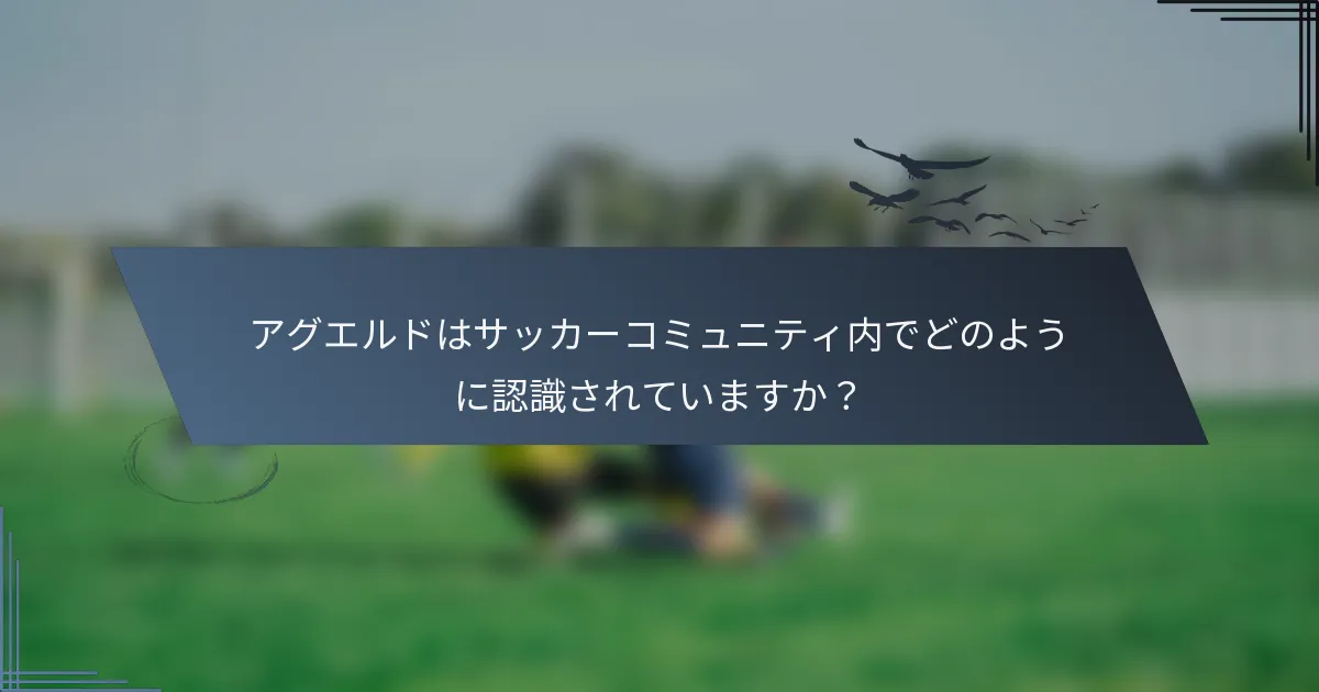 アグエルドはサッカーコミュニティ内でどのように認識されていますか？