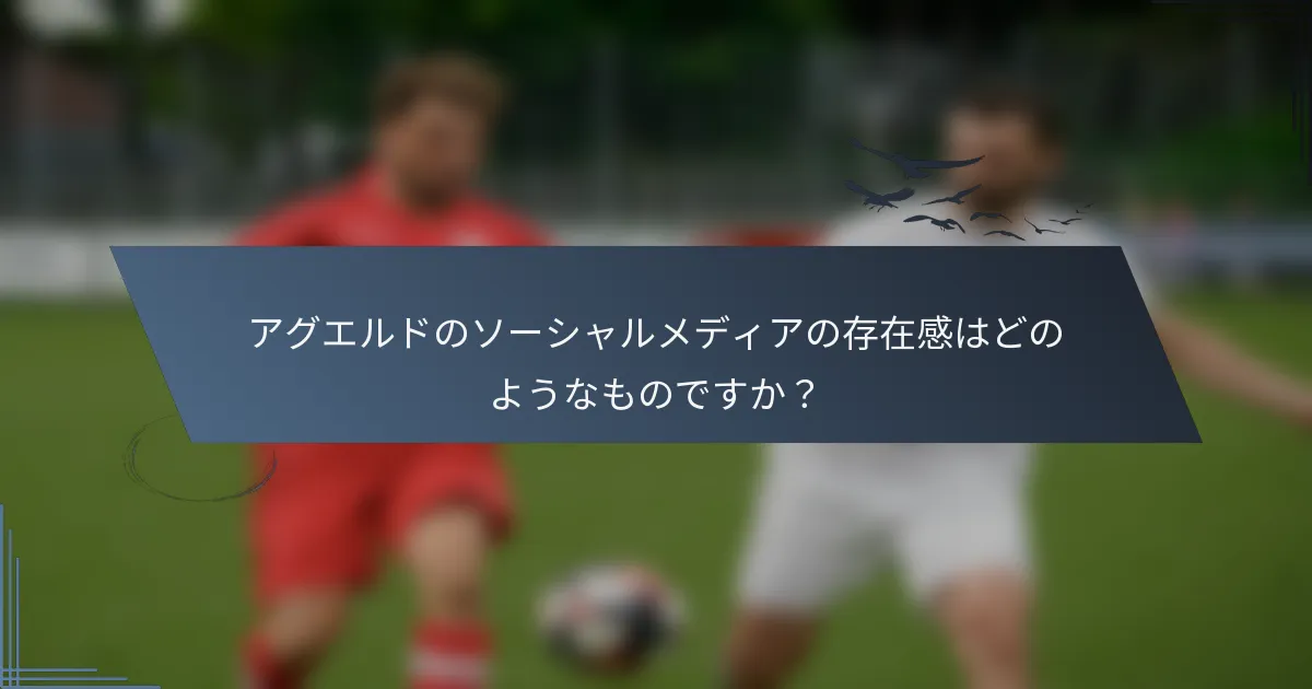 アグエルドのソーシャルメディアの存在感はどのようなものですか？