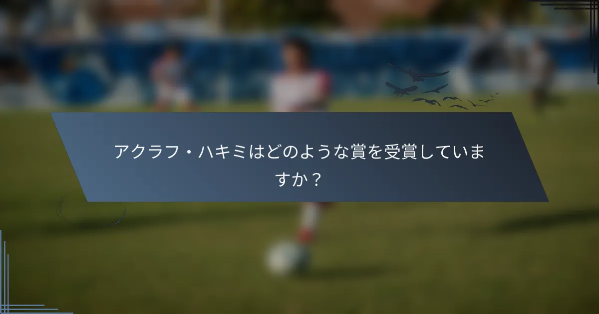 アクラフ・ハキミはどのような賞を受賞していますか？