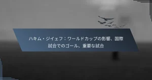 ハキム・ジイェフ：ワールドカップの影響、国際試合でのゴール、重要な試合