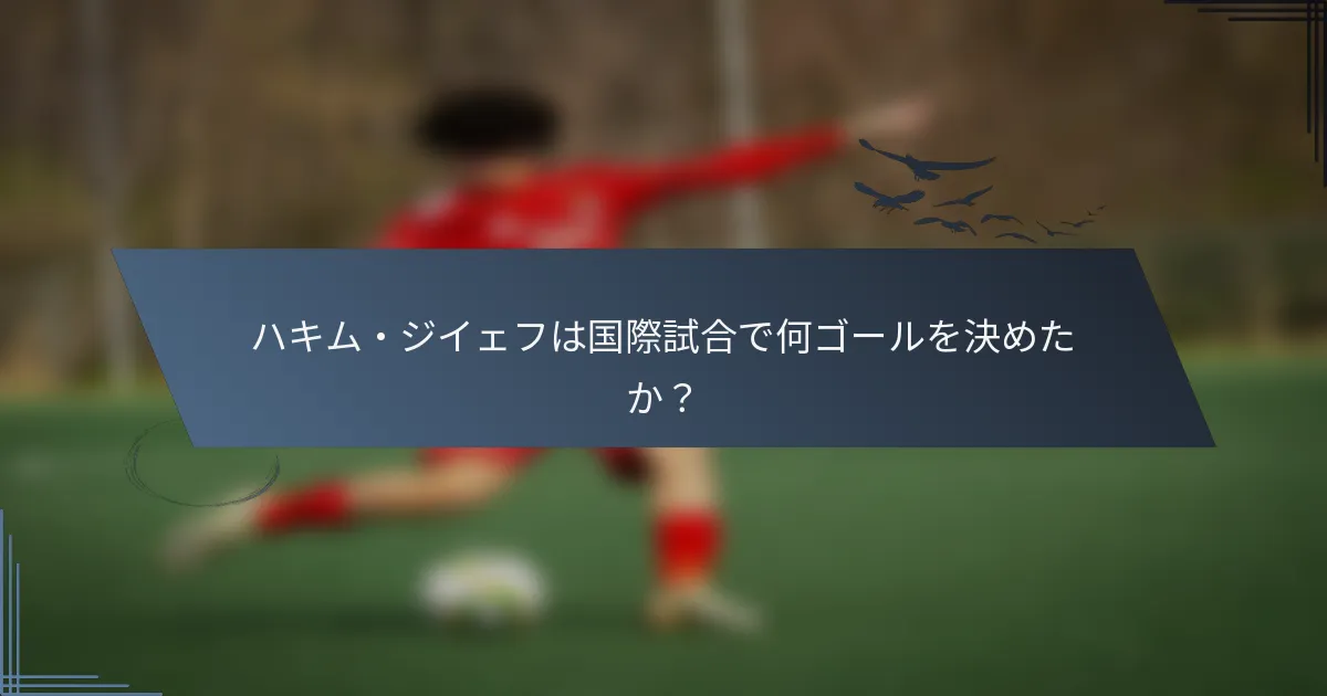ハキム・ジイェフは国際試合で何ゴールを決めたか？